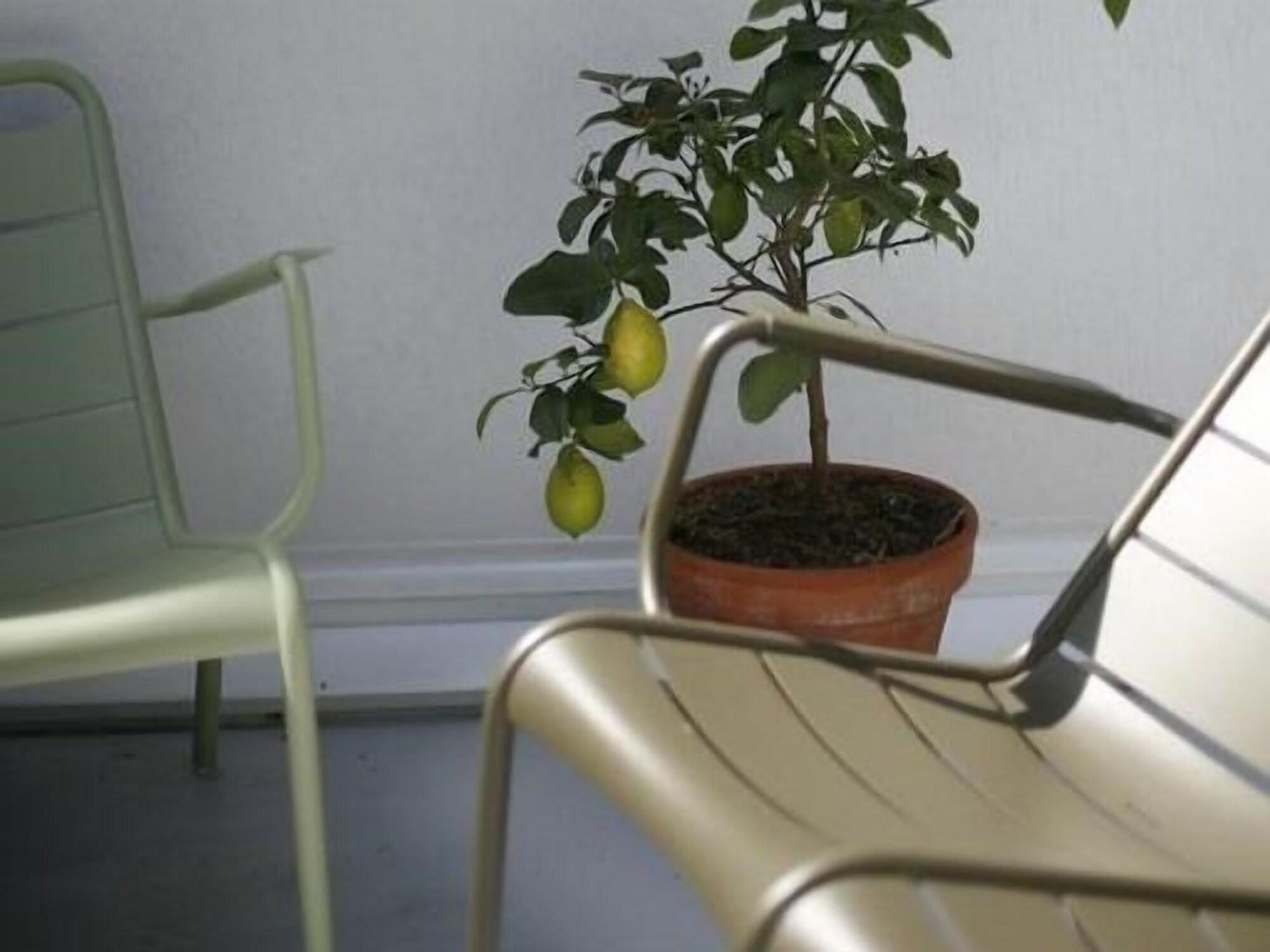 Bed and Breakfast Les 4 étoiles Montpellier Esterno foto
