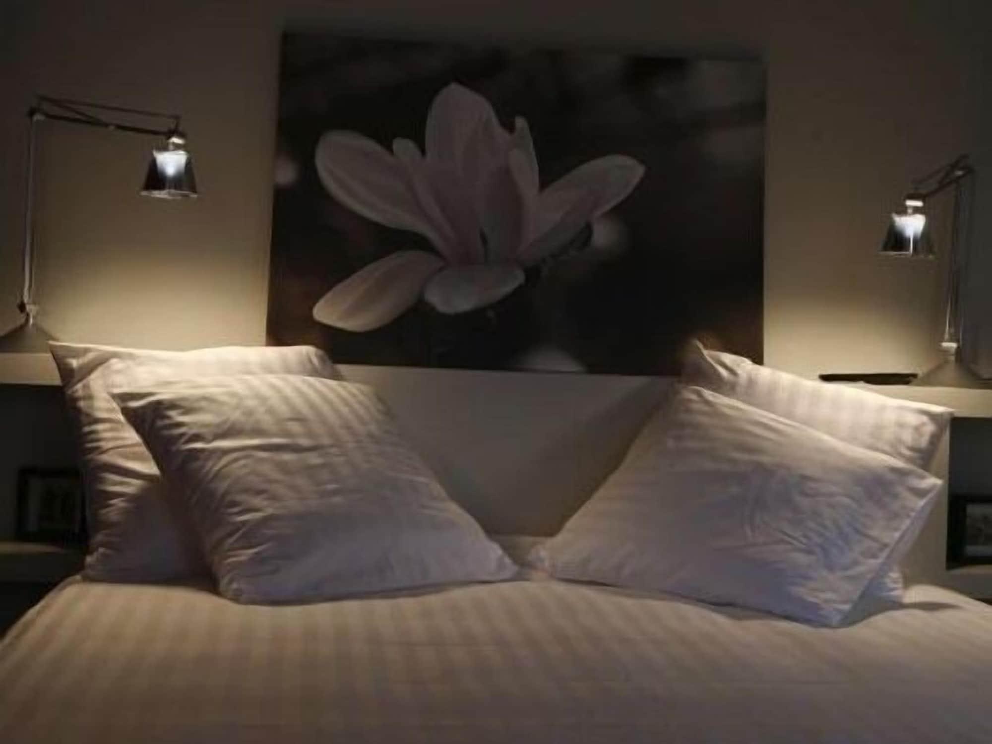 Bed and Breakfast Les 4 étoiles Montpellier Esterno foto