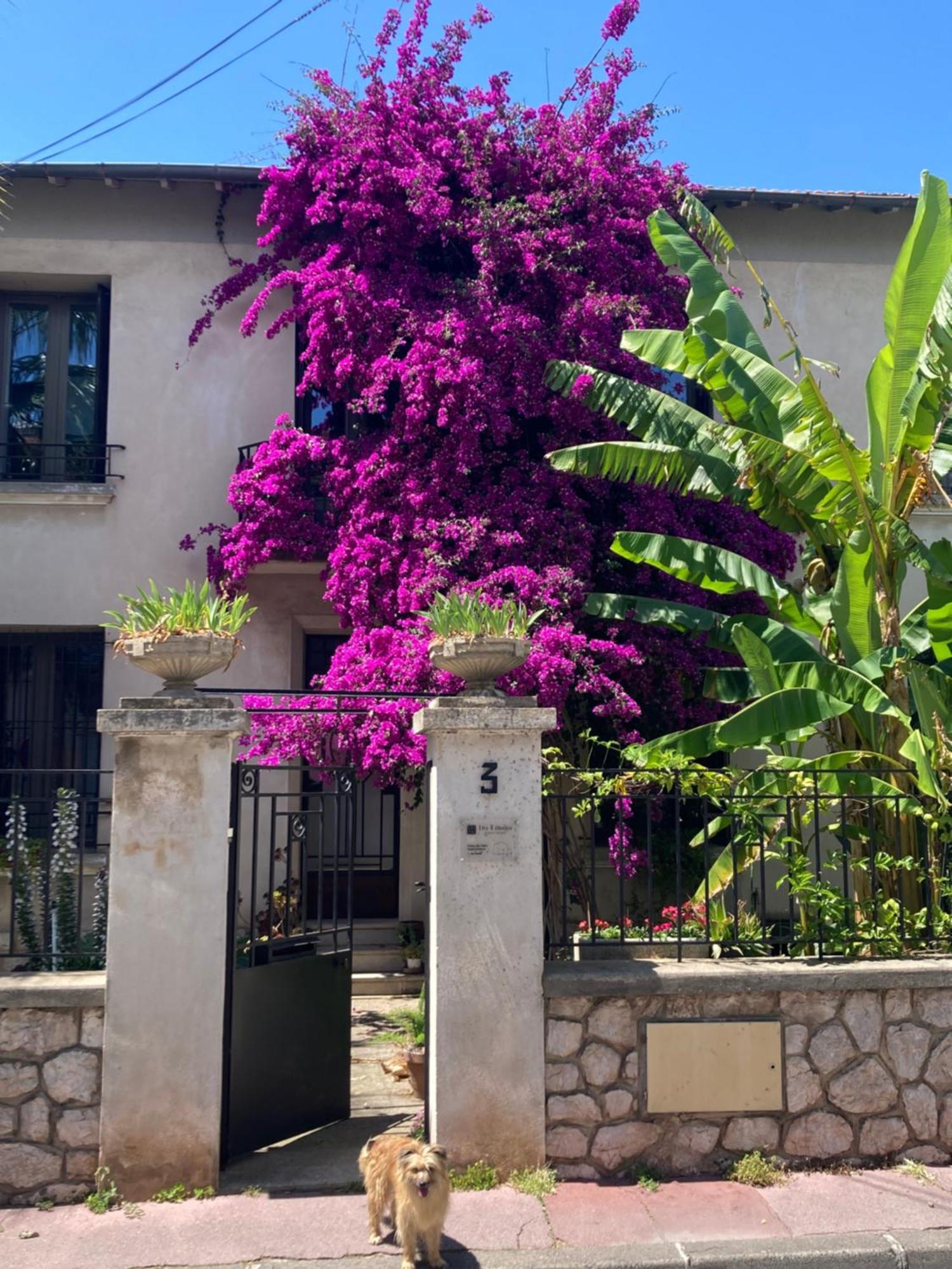 Bed and Breakfast Les 4 étoiles Montpellier Esterno foto