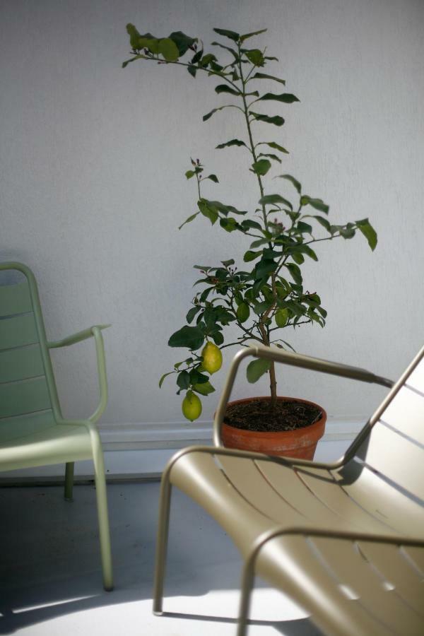 Bed and Breakfast Les 4 étoiles Montpellier Esterno foto